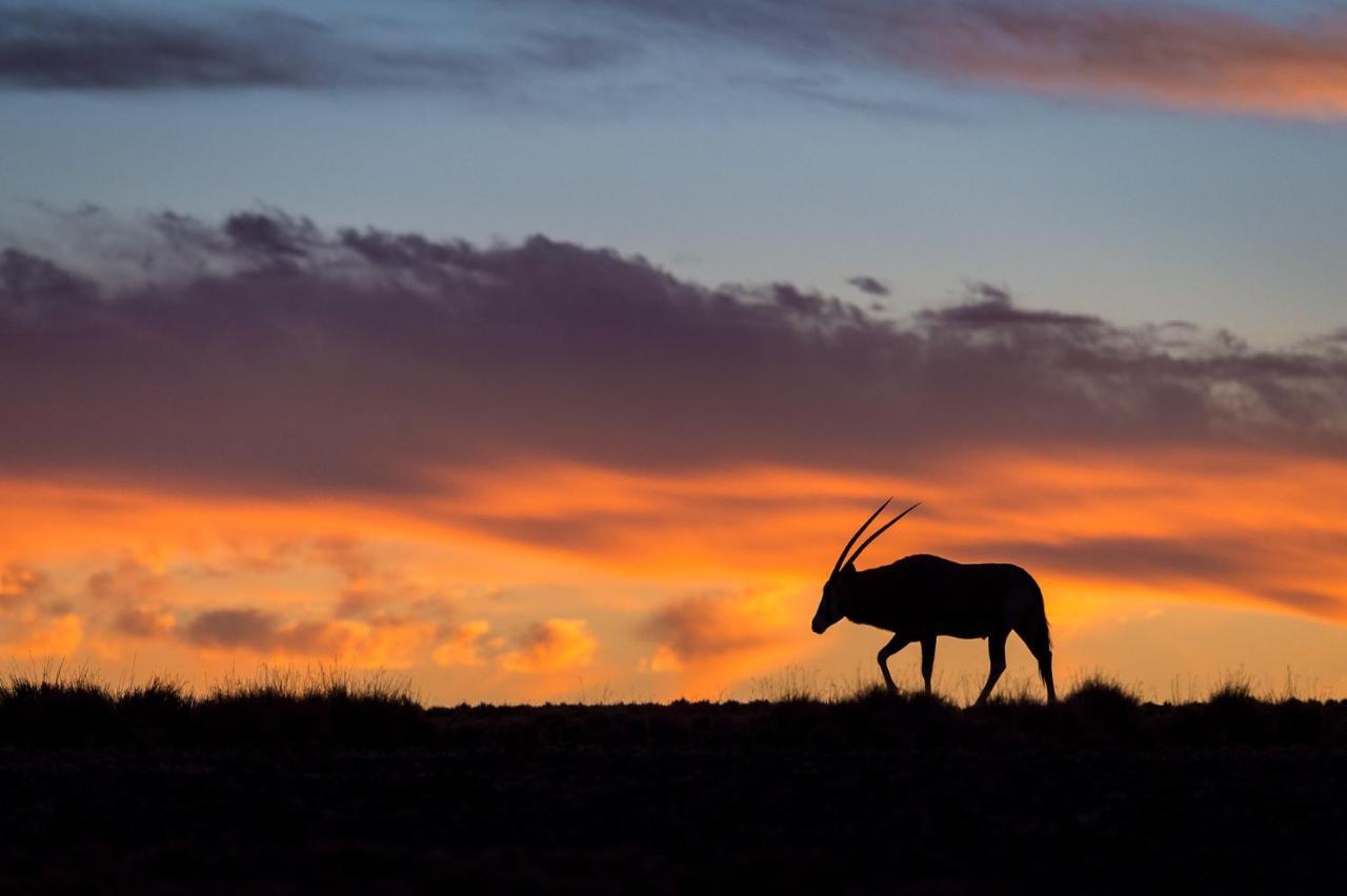 Wilderness Safaris Kulala Desert Lodge Sesriem Kültér fotó