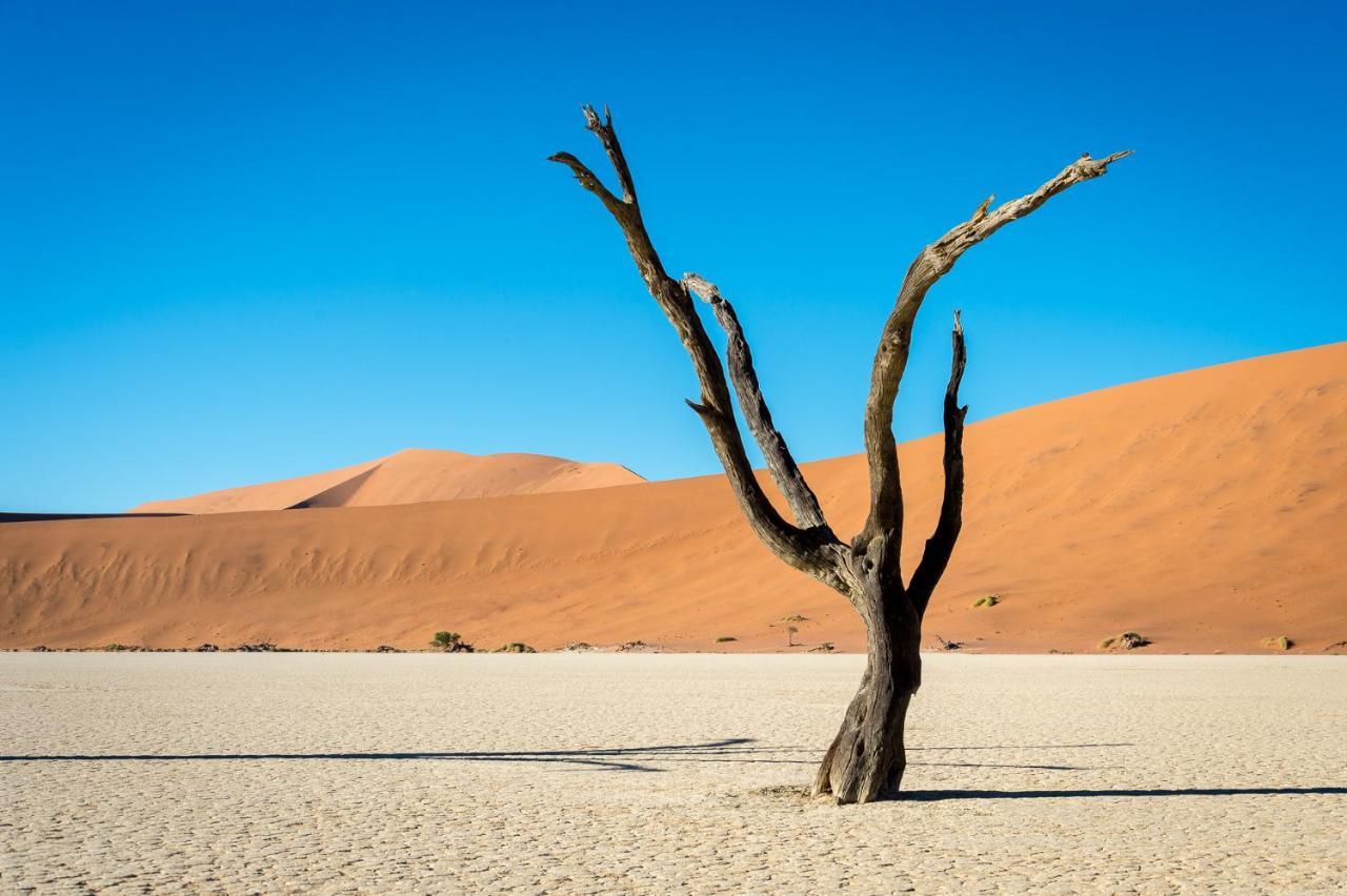Wilderness Safaris Kulala Desert Lodge Sesriem Kültér fotó