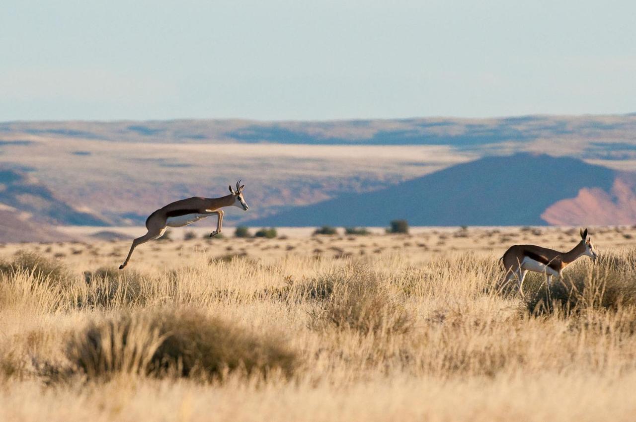 Wilderness Safaris Kulala Desert Lodge Sesriem Kültér fotó