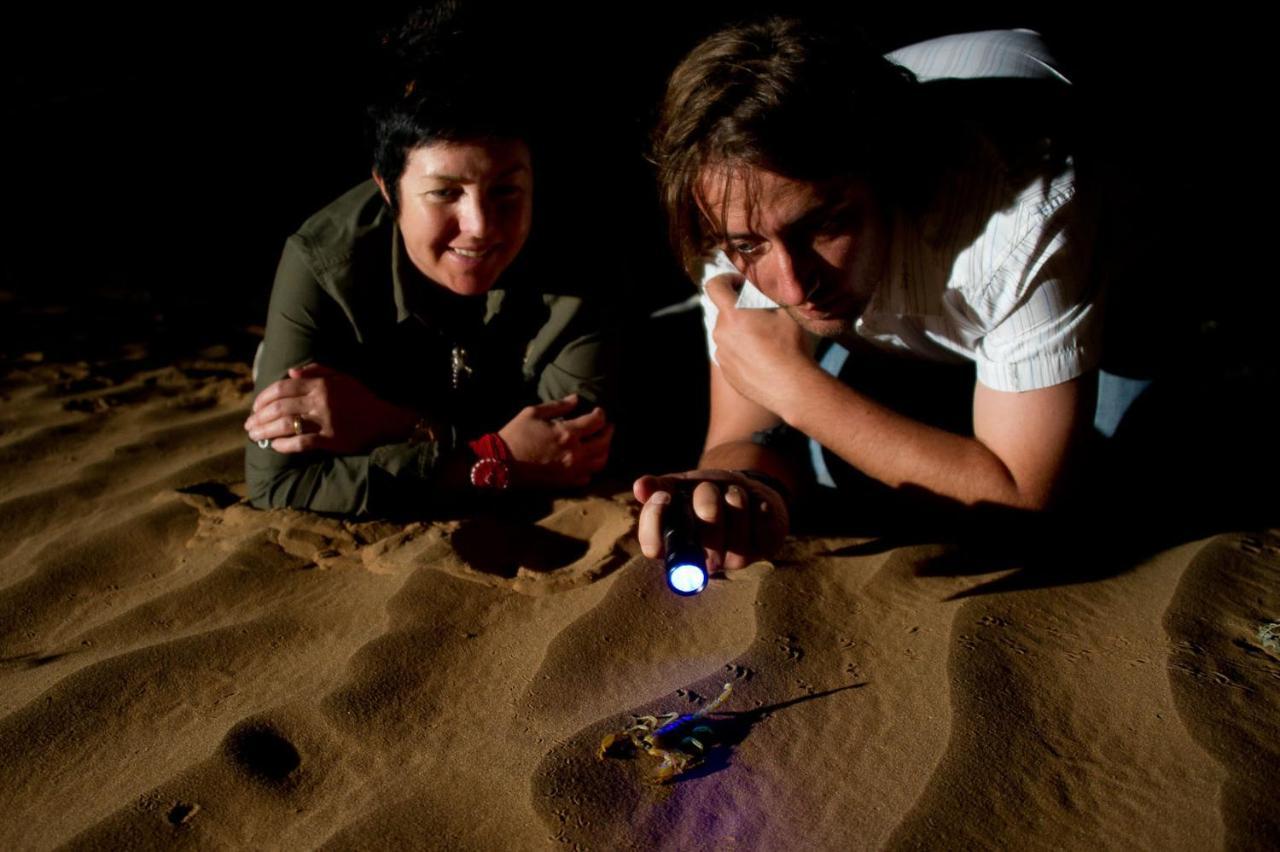 Wilderness Safaris Kulala Desert Lodge Sesriem Kültér fotó