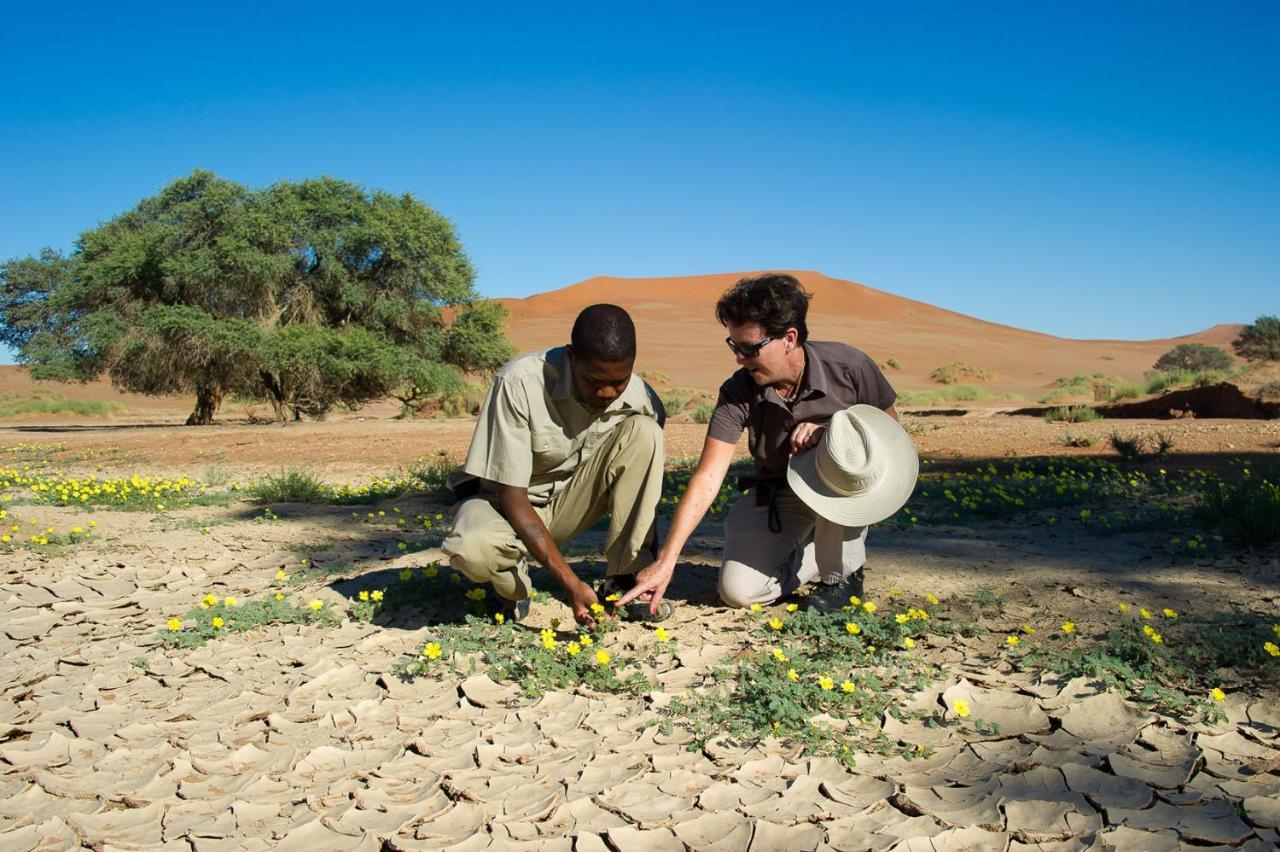 Wilderness Safaris Kulala Desert Lodge Sesriem Kültér fotó